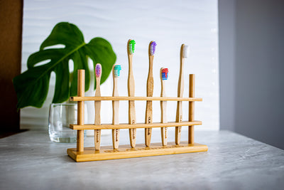 Toothbrush Holder - OLA Bamboo