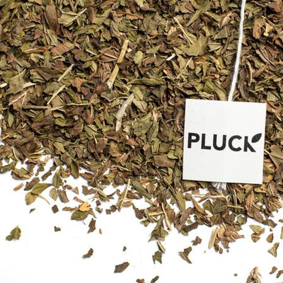 Harvest Mint - Loose Leaf Tea (50g) *includes $3 deposit* - Pluck Tea