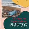 So whats the big deal about PLASTIC?