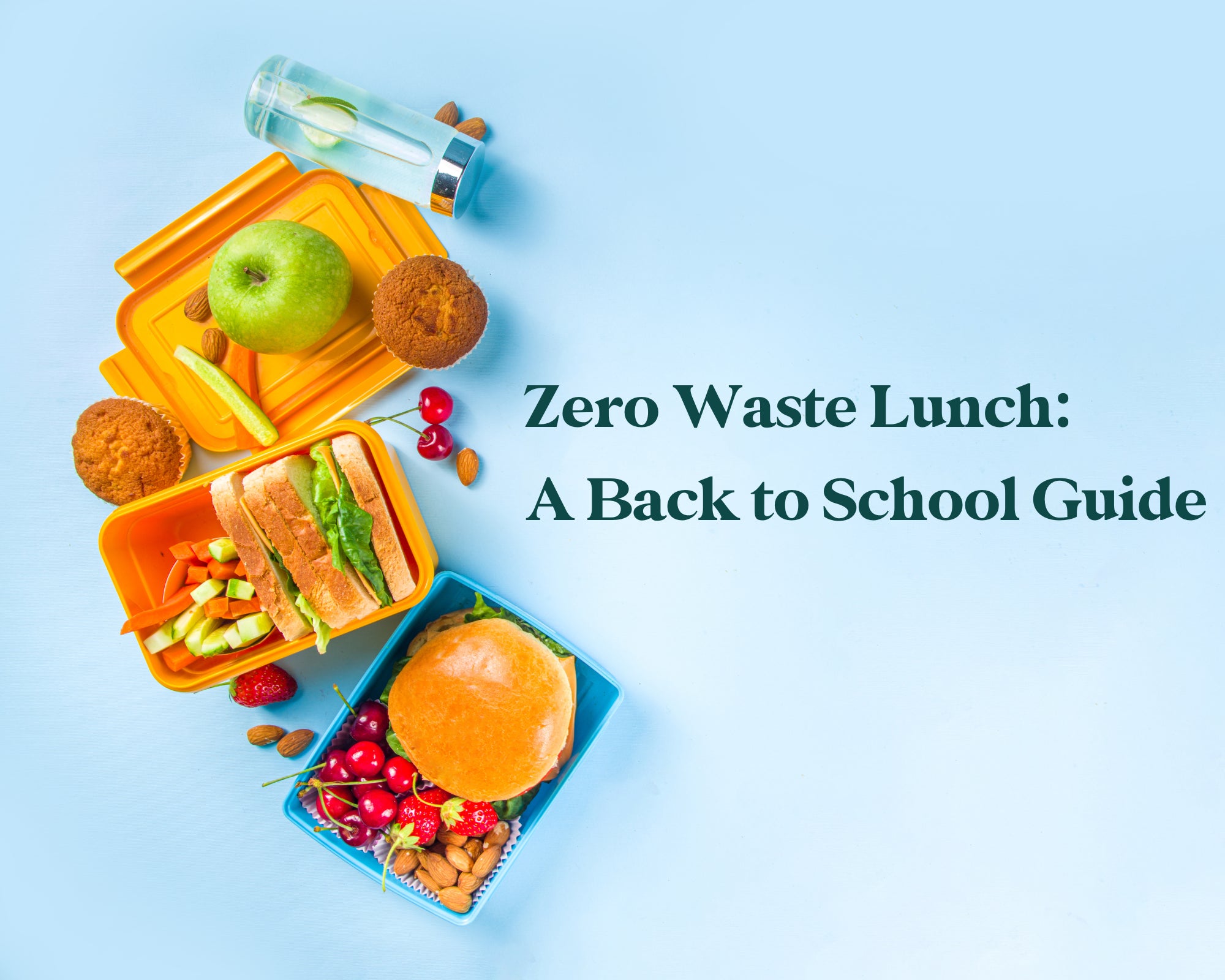 Zero Waste, Organic School Lunch Programs