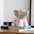 DIY Baby Elephant 3D paper origami model Kit