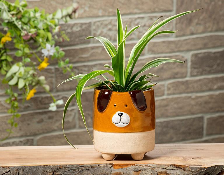 Animal Planters