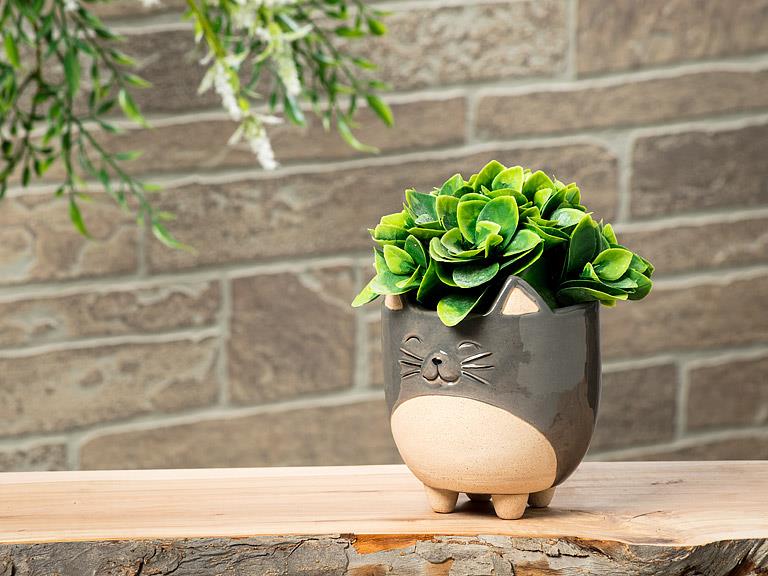 Animal Planters