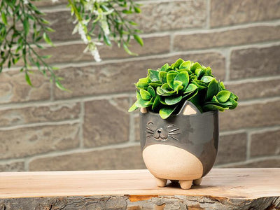 Animal Planters