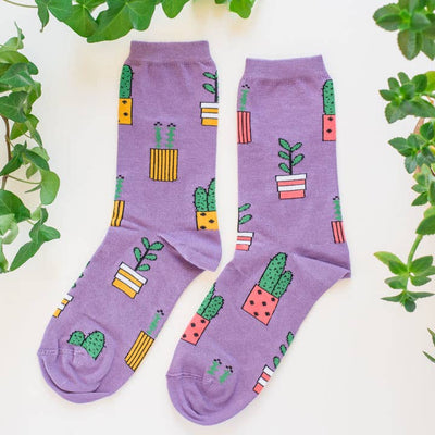 Women’s Socks- Friday Sock Co