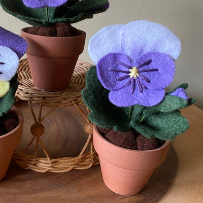 Pansy Felt Forever Flower