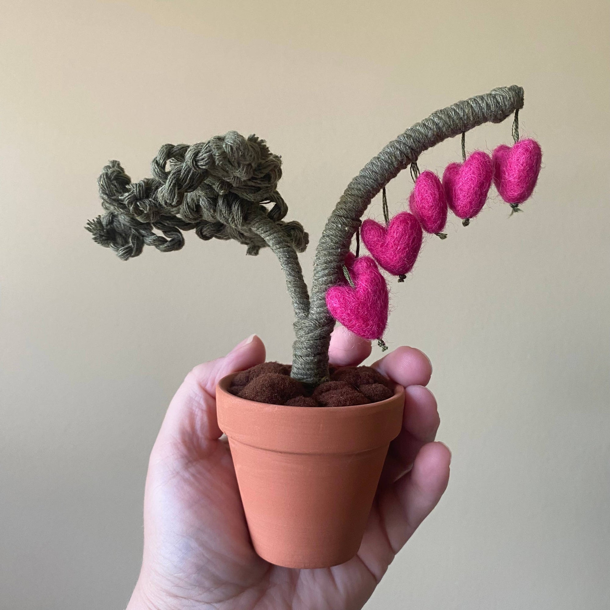 Macrame and Felted Bleeding Heart Forever Plant