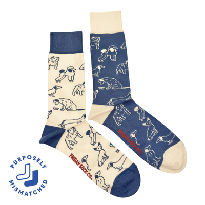 Men's Socks - Friday Sock Co