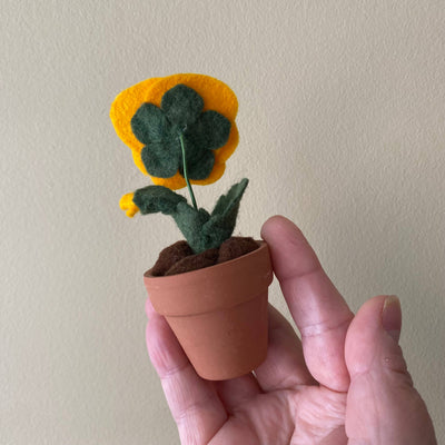 Pansy Felt Forever Flower
