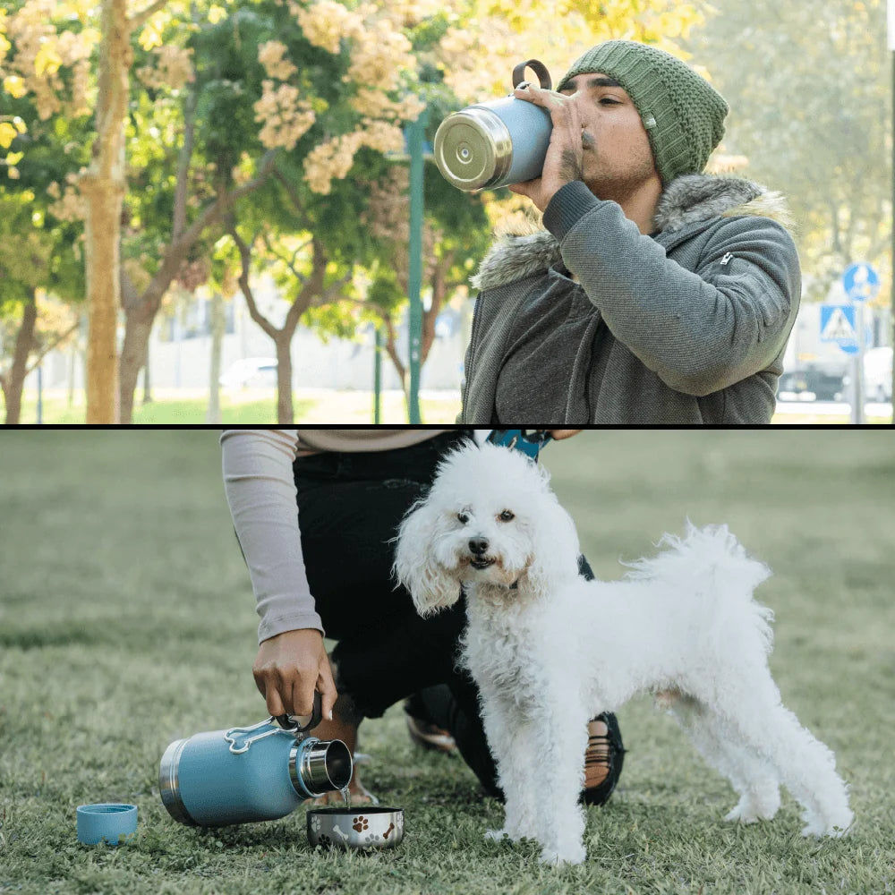 Dog Bowl Water Bottle - Asobu