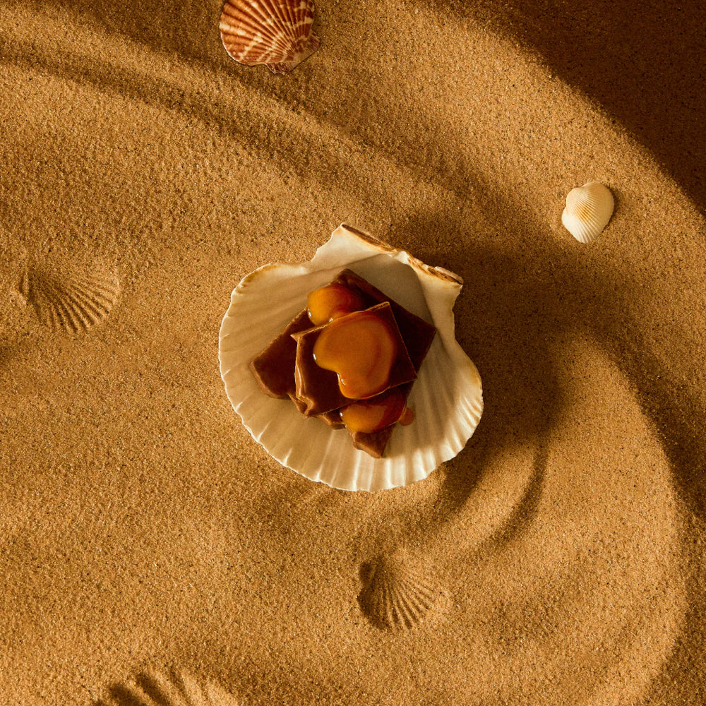 Pilot Coffee Beans -Lemeira Brazil