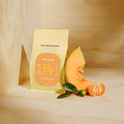 Pilot Coffee Roasters