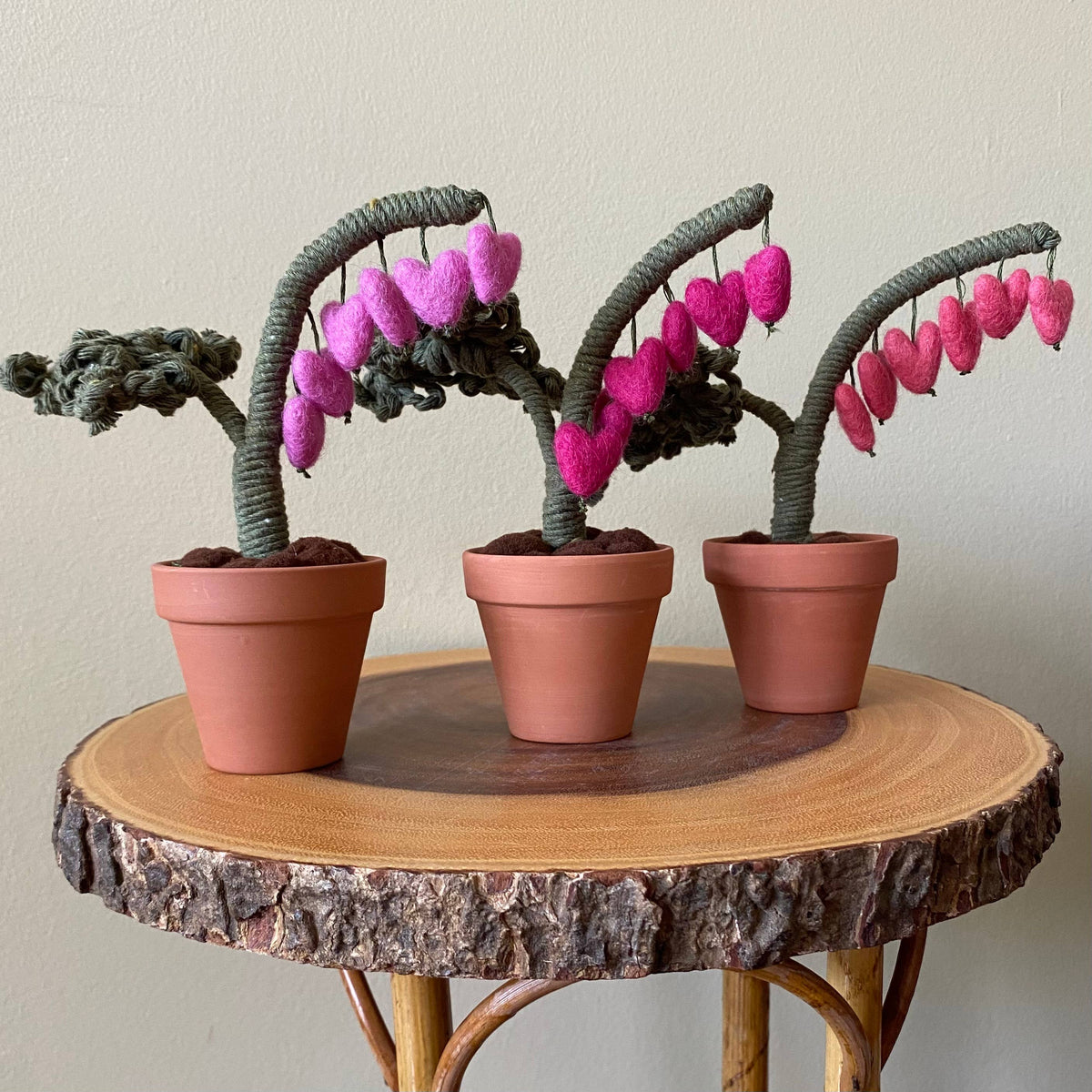 Macrame and Felted Bleeding Heart Forever Plant
