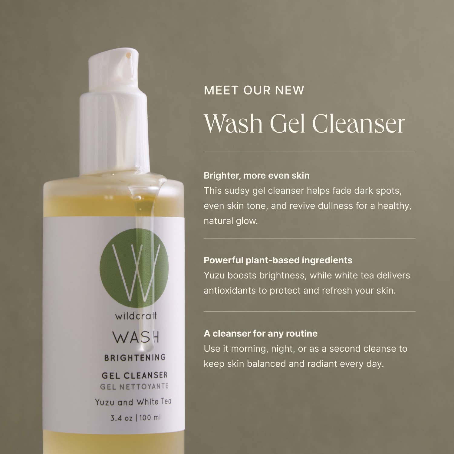 Wash Gel Cleanser - Wildcraft
