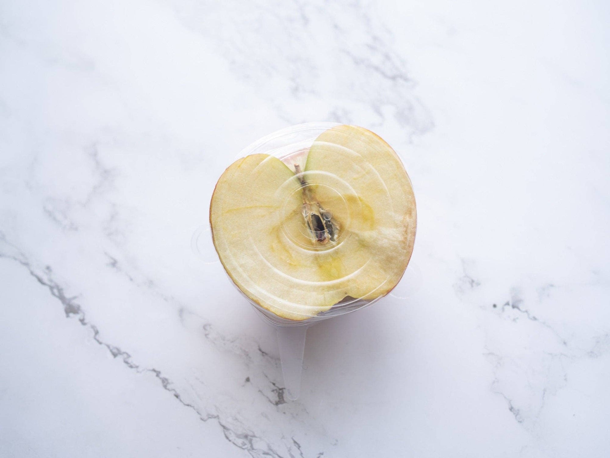 Set of 6 Silicone Bowl Covers - Plantish