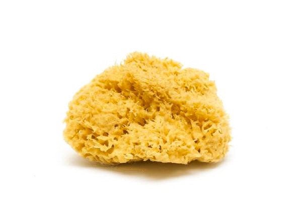 Natural Bath & Cleaning Grass Sea Sponge - Smile Boutiques