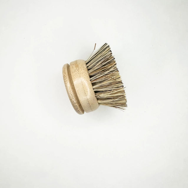 Bamboo Dish Brush Replacement Head - Essence of Life Organics