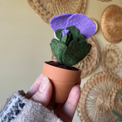 Pansy Felt Forever Flower