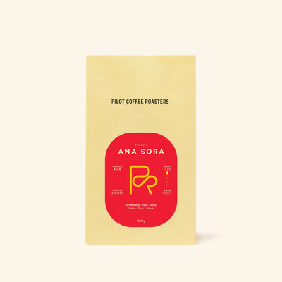 Pilot Coffee Beans - Ana Sora