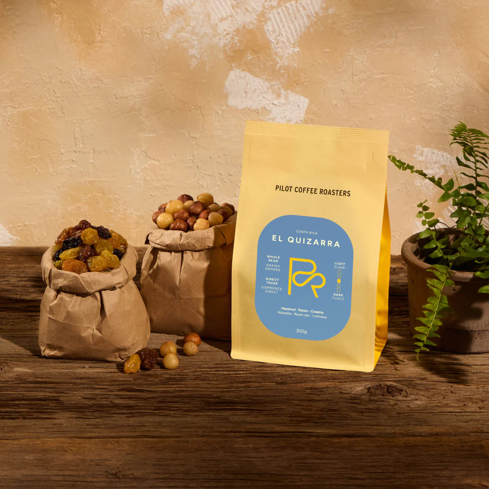 Pilot Coffee Beans - El Quizarra