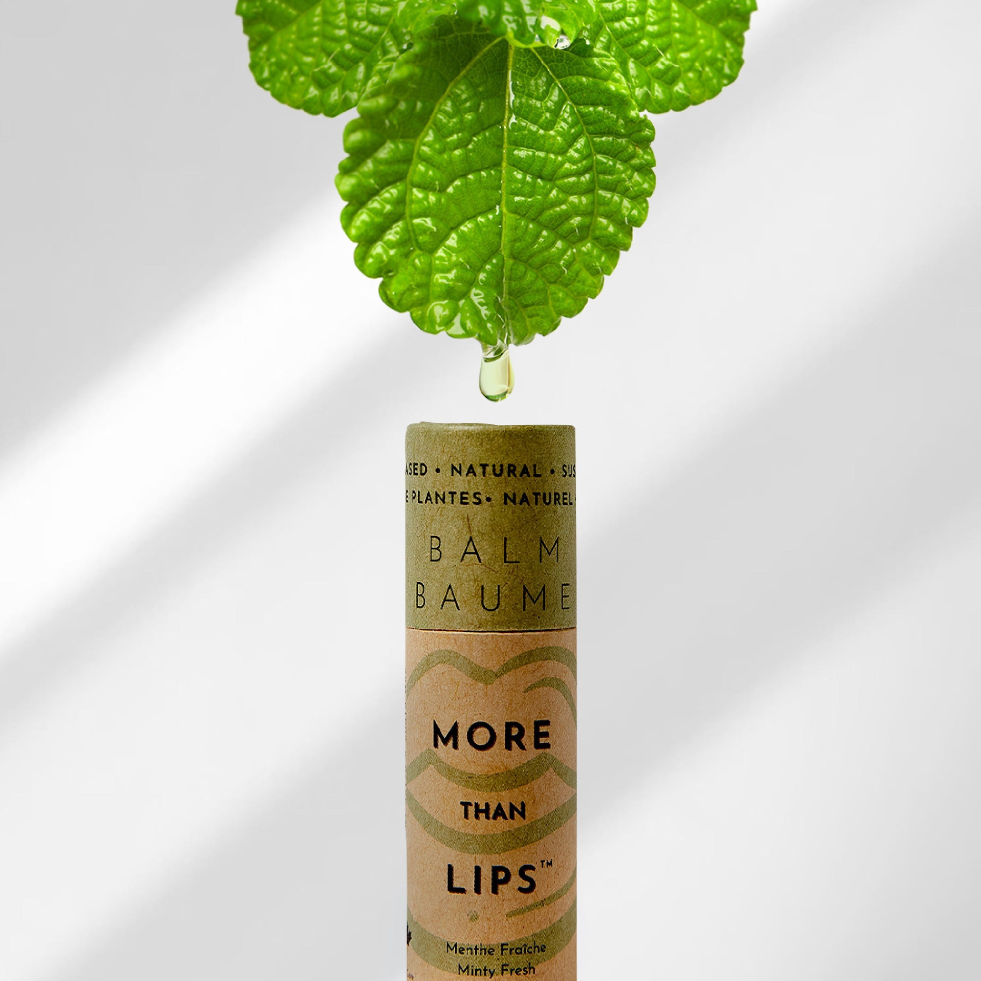 More Than Lips Lip Balm