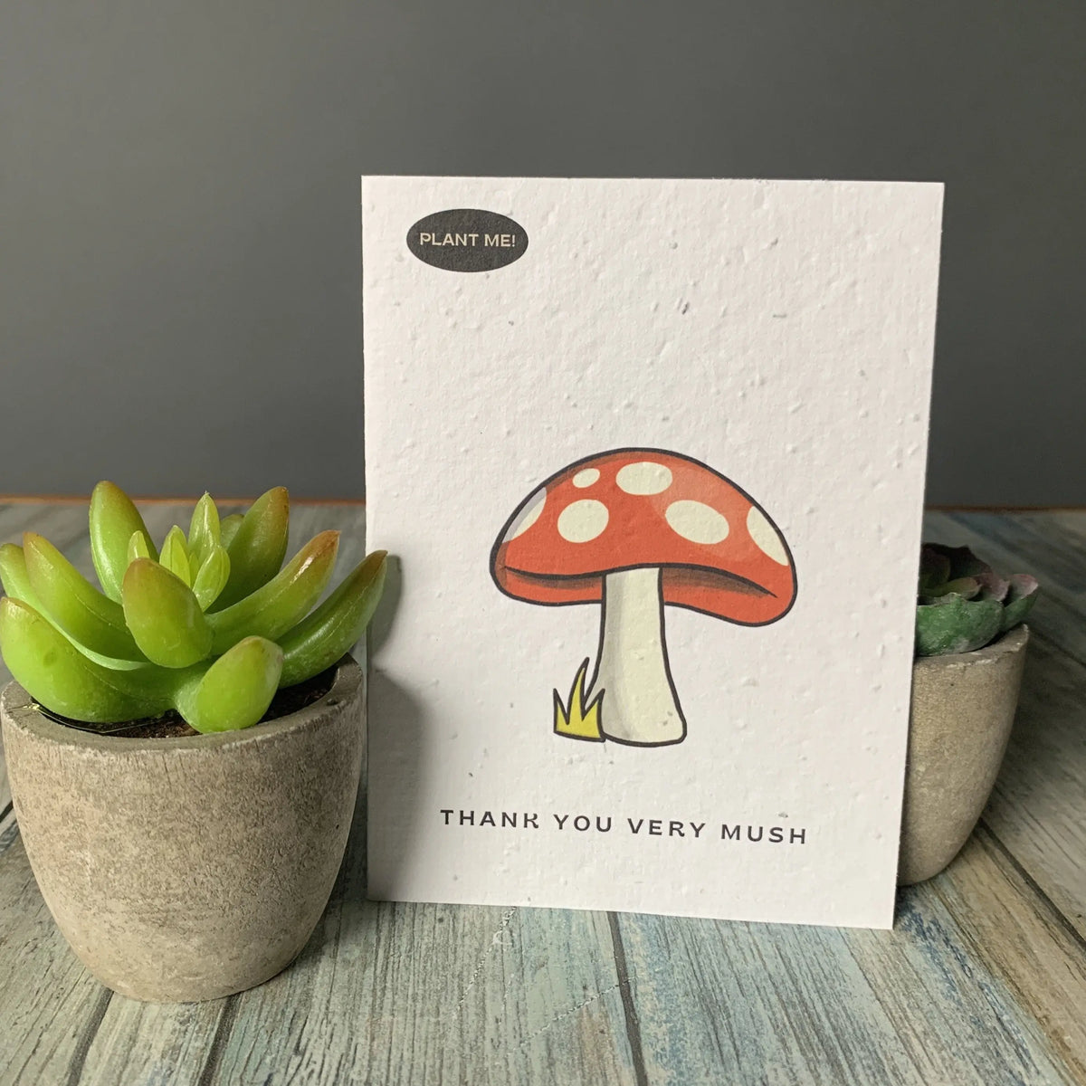 Thank You Cards - Plantable Greeting
