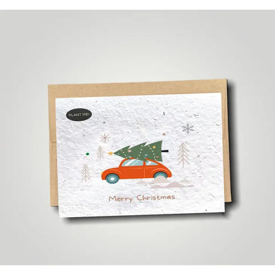 Christmas Cards - Plantable Greeting