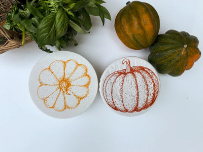 Fall Pumpkin Bowl cover set of 2 Smalls - Your Green Kitchen