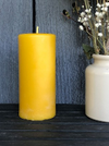 Beeswax Candles - BeeEducated