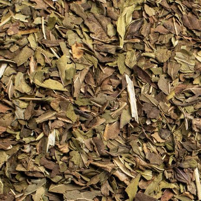 Harvest Mint - Loose Leaf Tea (50g) *includes $3 deposit* - Pluck Tea