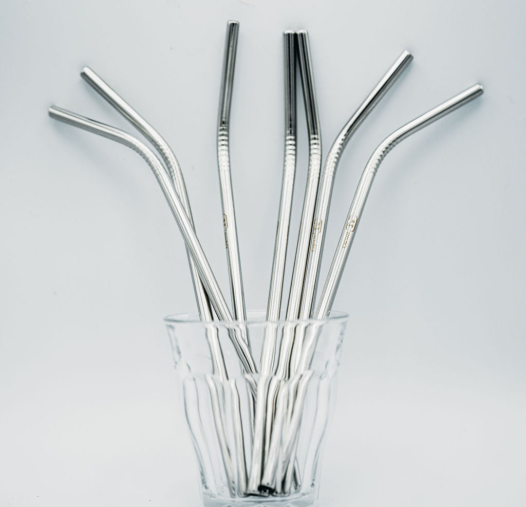 Stainless Steel Straws (Silver) - REssentials